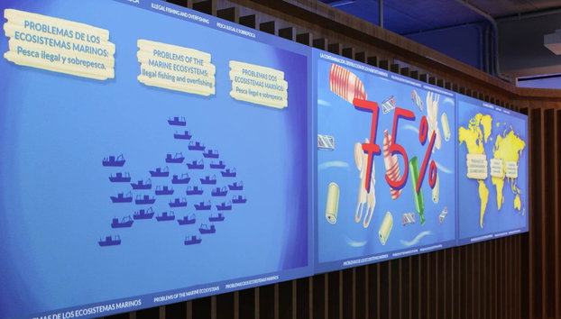 Museo Pescanova Biomarine Center - Foto 5